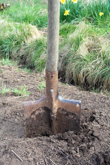 Er zit een schep in de grond en daarop staat het woord boom.