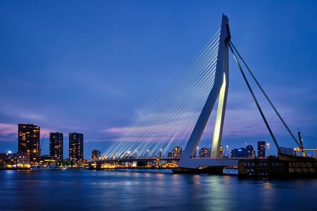 Erasmus Bridge Rotterdam Netherlands