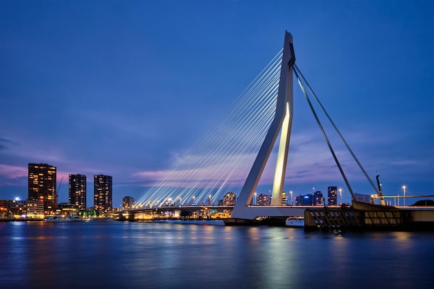 Erasmusbrug Rotterdam Nederland