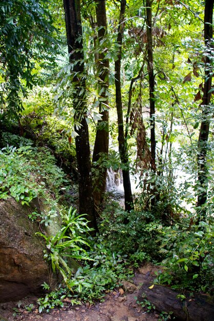 Erawan-waterval Kanchanaburi Thailand