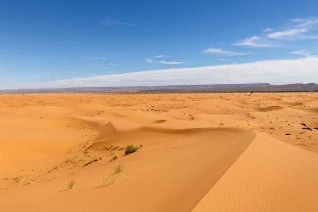 Erg Chebbi in Marokko