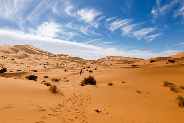 Photo erg chebbi in morocco