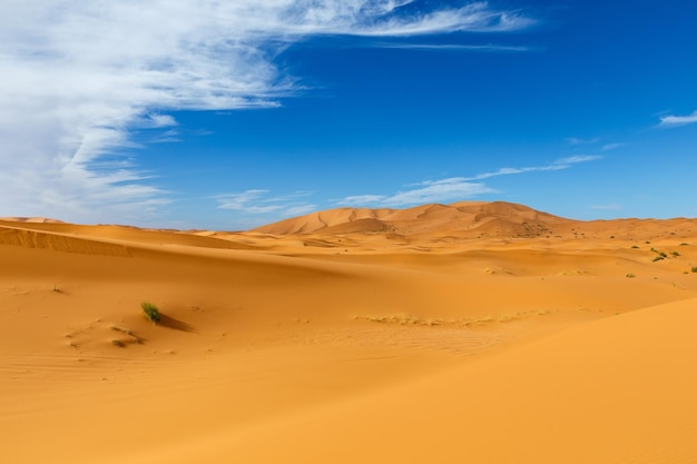 Erg Chebbi Sand dunes Sahara Desert Morocco