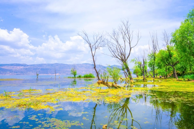 Озеро Эрхай в Дали Юньнань Китай