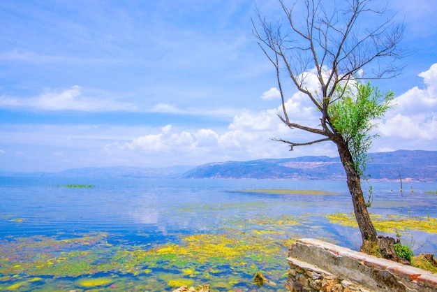 Erhai-meer in Dali Yunnan China