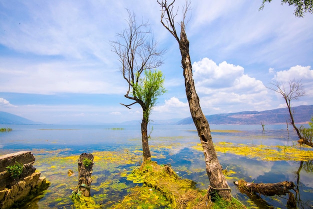 Erhai-meer in Dali Yunnan China