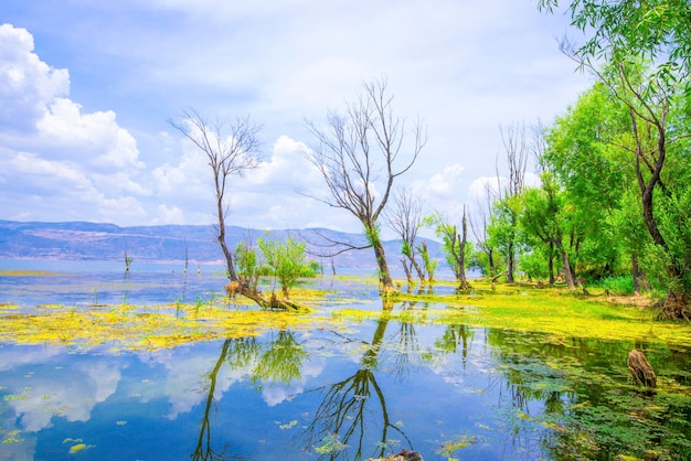 Erhai-meer in Dali Yunnan China