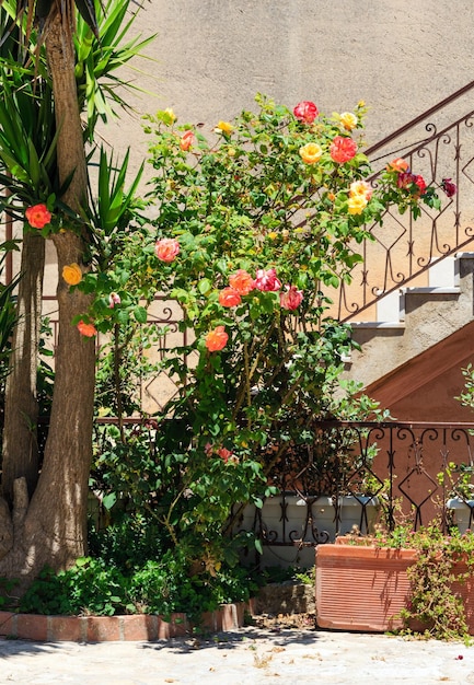 Erice straat Sicilië Italië