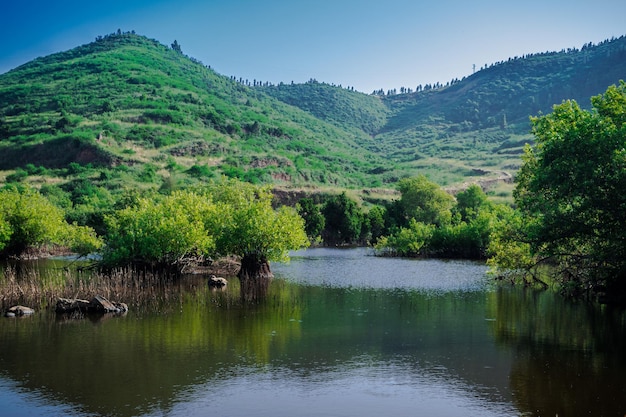 Erjos-vijvers, wetland in erjos, los silos, tenerife, canarische eilanden, spanje