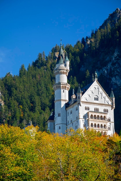 Ermany Beieren beroemde historische plaats kasteel neuschwanstein