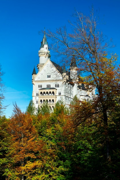 Foto ermany beieren beroemde historische plaats kasteel neuschwanstein