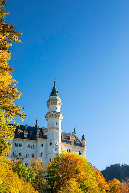 Ermany Beieren beroemde historische plaats kasteel neuschwanstein