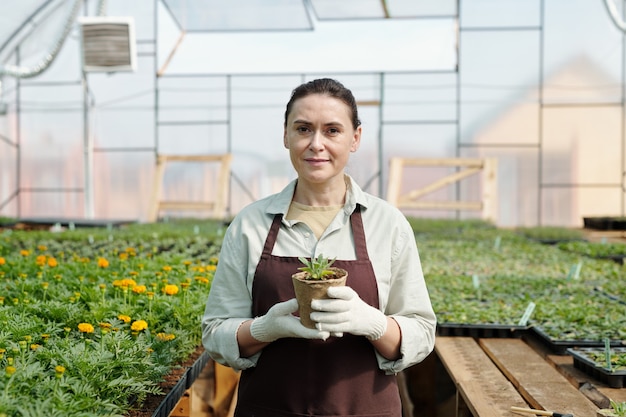 Ervaren tuinman met zaailing in pot die tegen groeiende planten staat