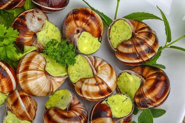 Foto escargot