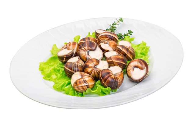 Escargot