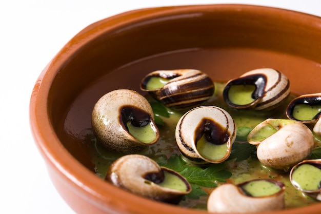 Escargots de Bourgogne isolated on white background. Close up