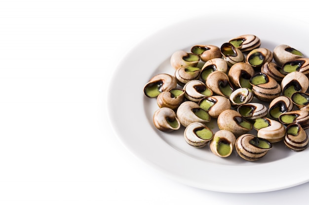 Escargots de Bourgogne in plate isolated on white background. Copyspace