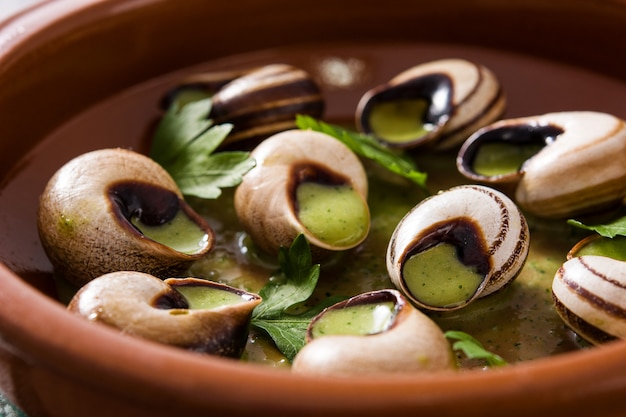 Escargots de bourgogne