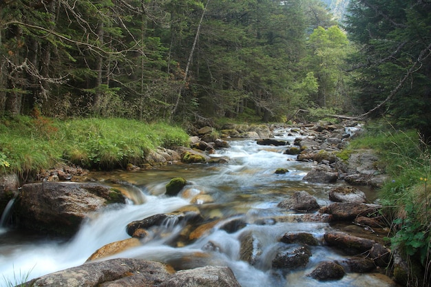 Photo escrita river in the aiguestortes and estany sant maurici national park in lerida