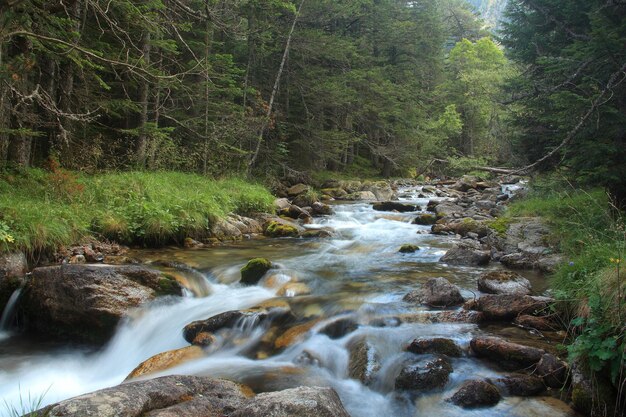 Escrita rivier in het nationale park Aiguestortes en Estany Sant Maurici in Lerida