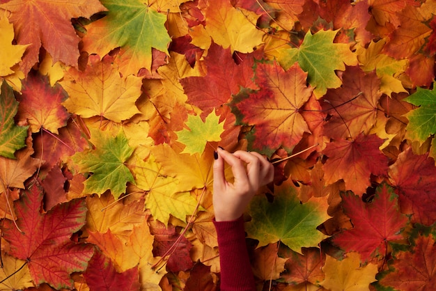 Esdoornblad in meisjeshanden. Hallo herfst. Abstracte achtergrond.