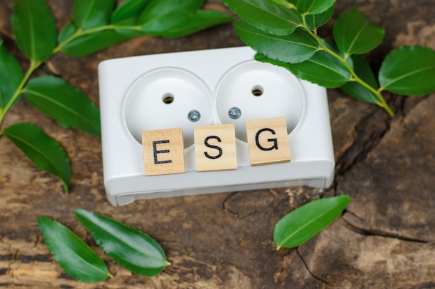 白いロゼットを背景にした木製の立方体の ESG の略 環境保全の概念 環境社会ガバナンス