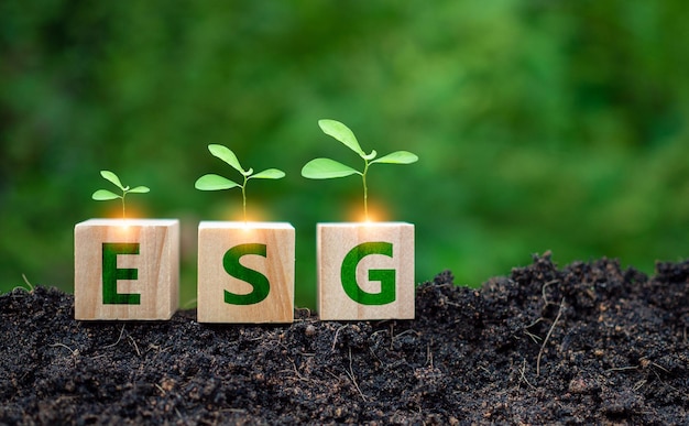ESG-concept voor milieu, samenleving en bestuur in duurzaam ondernemen, verantwoord milieu