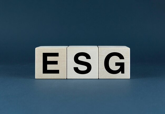 Esg cubes vormen het woord esg