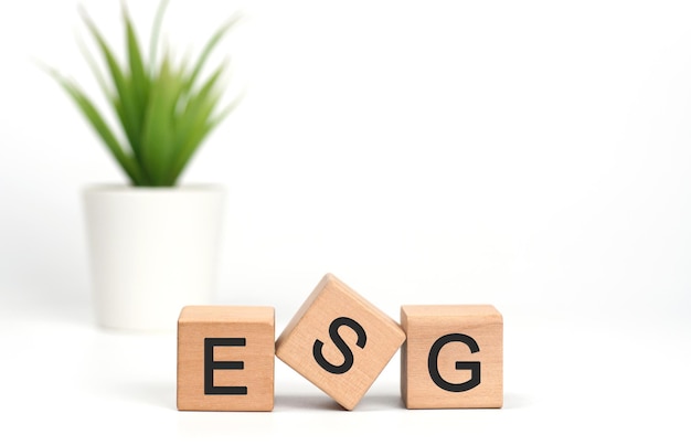 ESG Environmental Social Governance an abbreviation of wooden blocks with letters on white backg