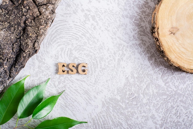 ESG 環境社会とガバナンスの概念文字の樹皮と灰色の背景に葉
