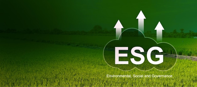 ESG environmental social and governance for sustainable organizational business company development