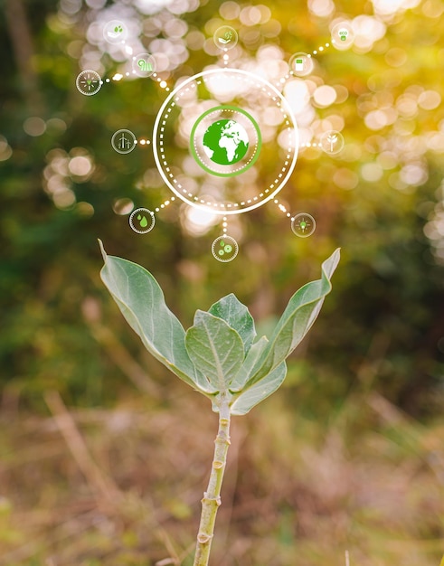 ESG icon concept  environmental,and governance in sustainable on a green background