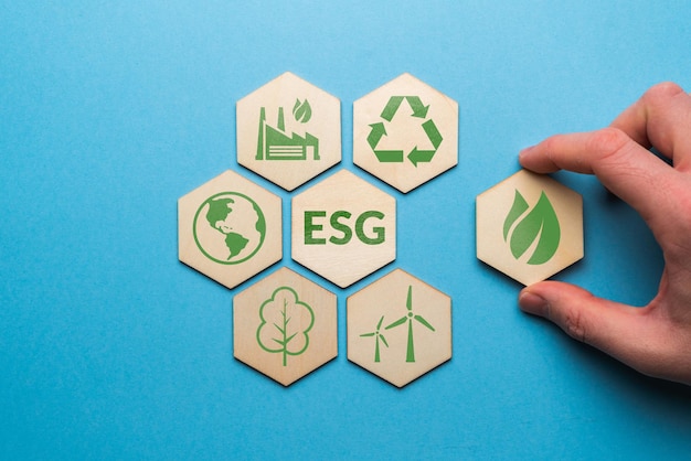 ESG of milieu sociaal bestuur. Het bedrijf ontwikkeling van een natuurbeschermingsstrategie.