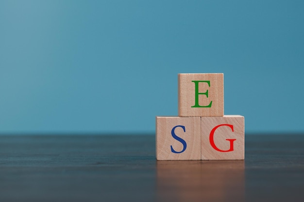 ESG 環境社会ガバナンスの略 環境は企業の責任 社会は従業員 サプライヤー 顧客 ガバナンスは効果的 透明性 監査可能な管理