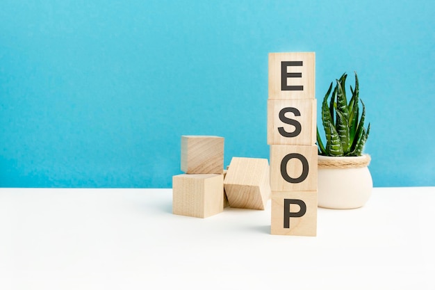 Esop woord is geschreven op houten kubussen op een helderblauwe achtergrond close-up van houten elementen Op de achtergrond is een groene bloem ESOP afkorting voor Employee Stock Ownership Plan