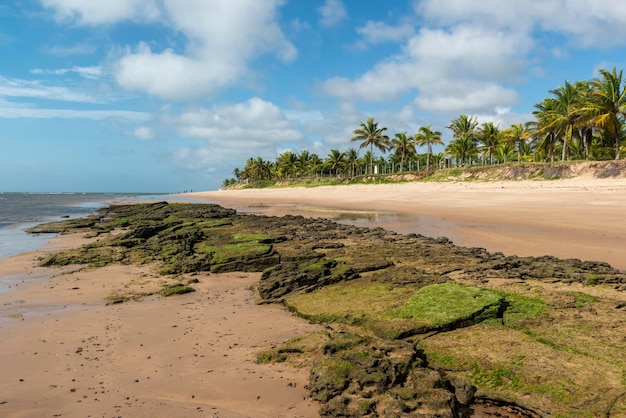 Espera beach Itacimirim Bahia Brazil.