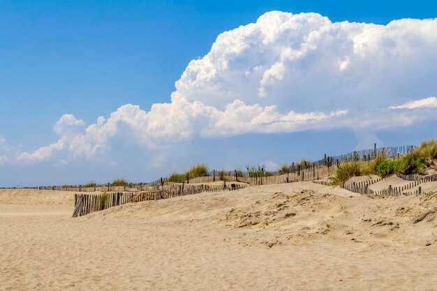 Espiguette Beach