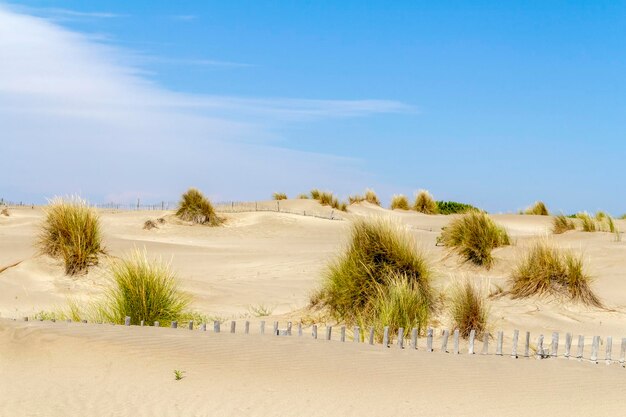 Espiguette Beach