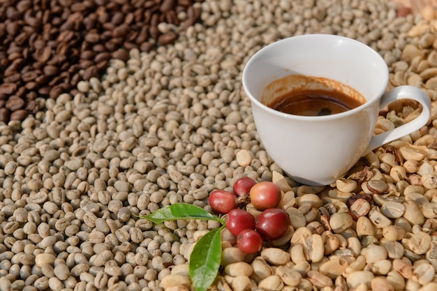 背景の白いカップに入ったエスプレッソコーヒーは、アラビカコーヒー豆です。