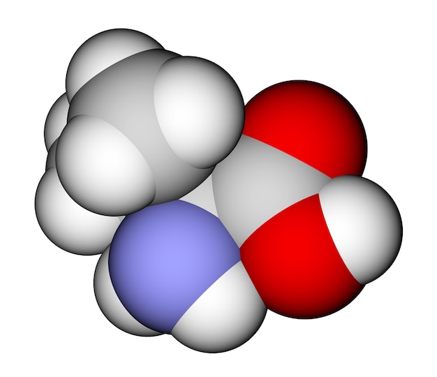 Photo essential amino acid valine 3d molecular model