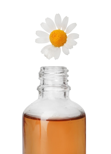 Эфирное масло капает с лепестка ромашки в стеклянную бутылку на белом фоне