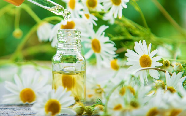 Essential oil extract of medicinal chamomile. Selective focus. Nature.