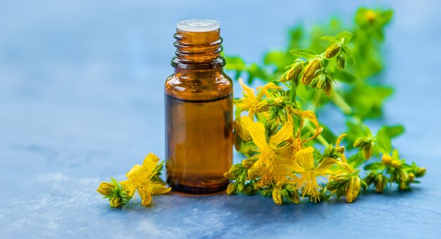 An essential oil extract of St. John's wort herb. Selective focus. Nature.