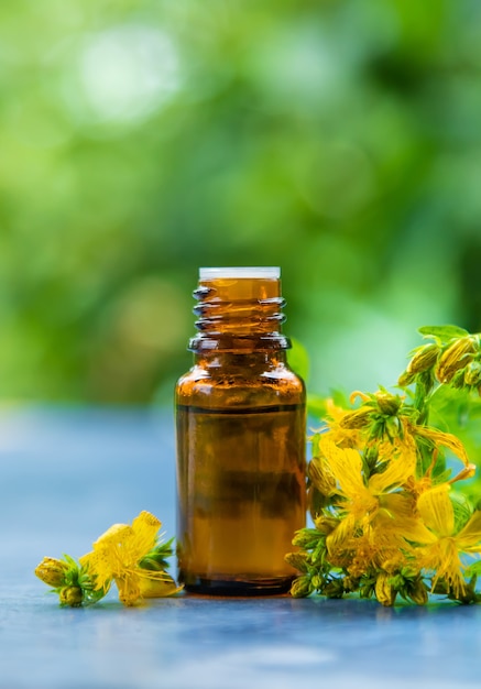 An essential oil extract of St. John's wort herb. Selective focus. Nature.