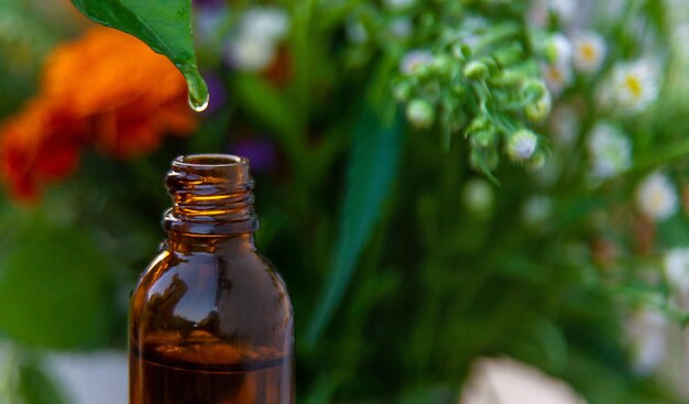Essential oil of flowers and herbs drop Selective focus