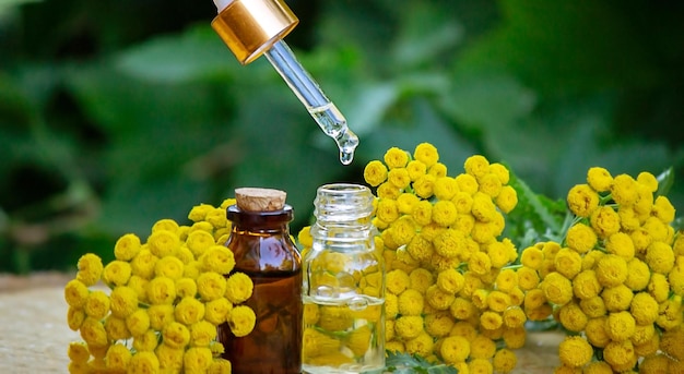 doTERRA イモーテル 年末 コスメ・香水・美容 | grupodgbrasil.com.br