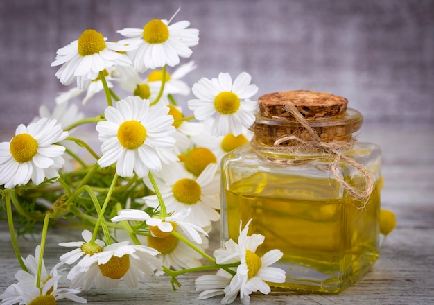 Essential oil in glass bottle with fresh chamomile flowers, beauty treatment.