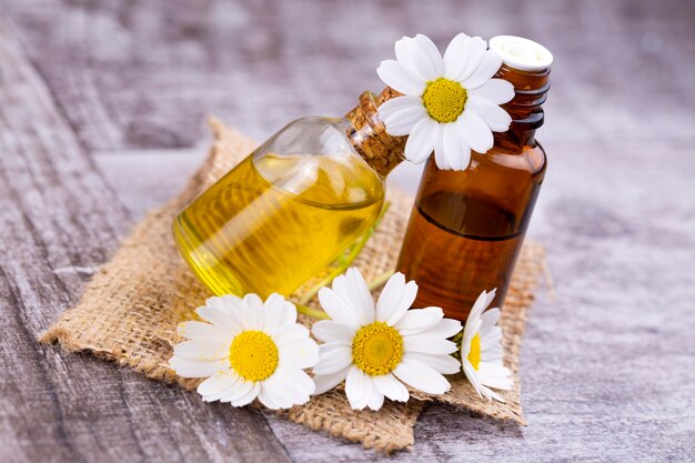 Essential oil in glass bottle with fresh chamomile flowers, beauty treatment.