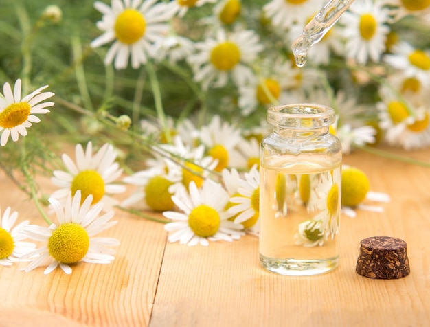 Essential oil in a glass bottle with fresh chamomile flowers spa concept