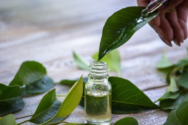 Essential oil of herbs in a small bottle, nature. Selective focus